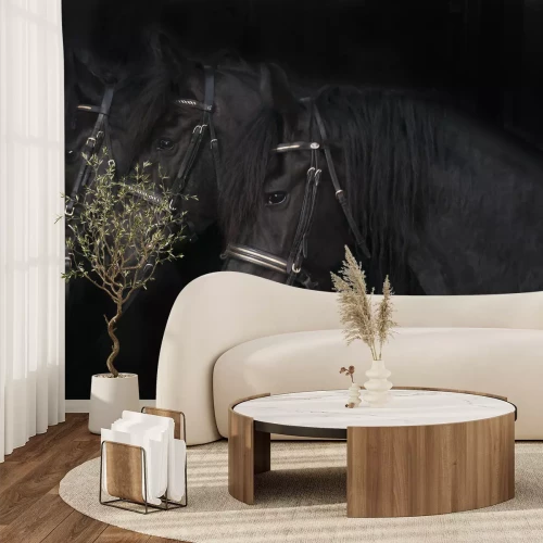 Fotobehang Zwarte Friese paarden