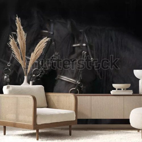 Fotobehang Zwarte Friese paarden