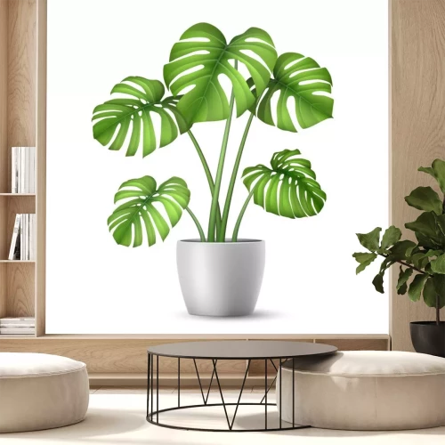 Sticker Monstera in a flower pot isolated. Tropical plant for interior decor of home or office. Vector illustration in vector realistic 3d style.