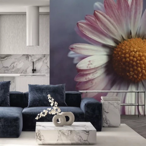 Fotobehang Roze bloemblaadjes van madeliefje