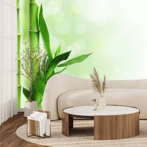 Fotobehang Bamboestengels met bladeren