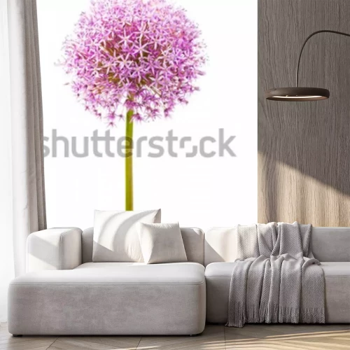 Sticker Enige bloem op witte achtergrond