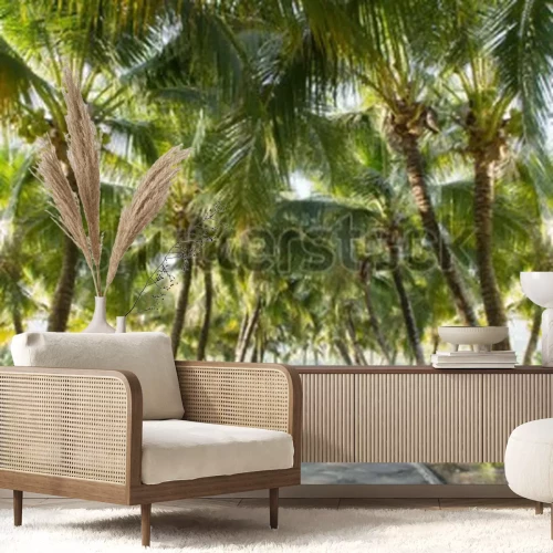Fotobehang Tropische kokospalmen