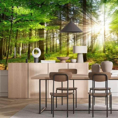 Fotobehang Zonnestralen in het groene bos