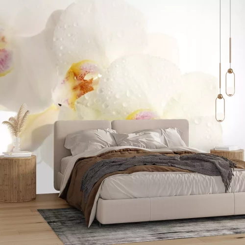 Sticker Witte bloemen in regendruppels