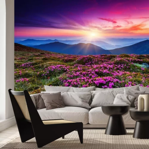 Fotobehang Berglandschap met bloemen en zonsondergang