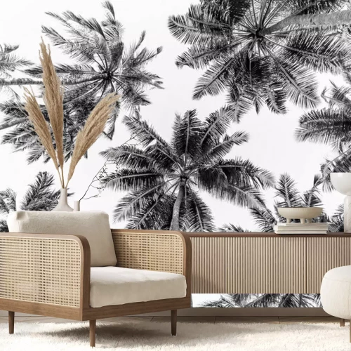 Fotobehang Tropical trees background concept. Beautiful exotic nature view, wonderful palm trees, looking up