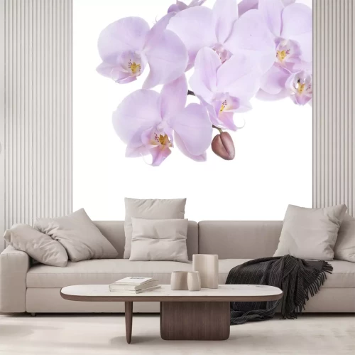 Sticker Lila bloemen met een knop