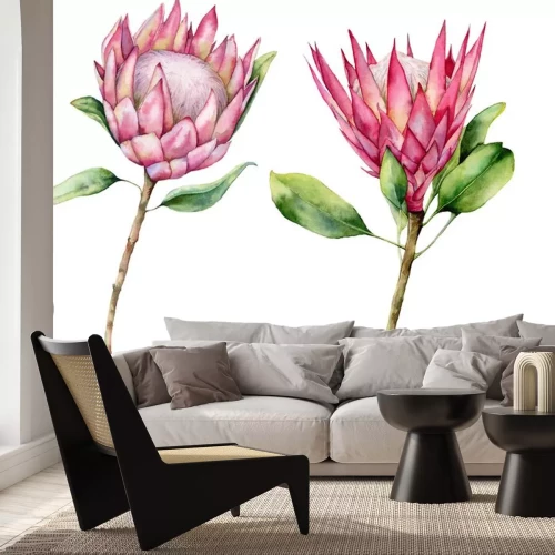 Sticker Watercolor two protea set. Hand painted pink flower illustration with leaves and branch isolated on white background. Nature botanical illustration for design, print. Realistic delicate plant.