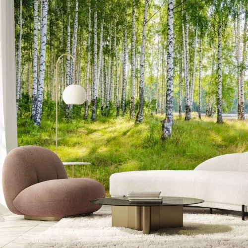 Fotobehang Landschap met een berkenbos