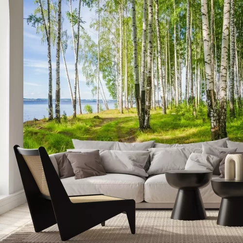 Fotobehang Zomerberkenbos aan de rivier