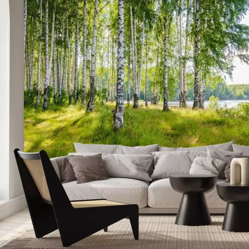 Fotobehang Landschap met een berkenbos aan de rivier