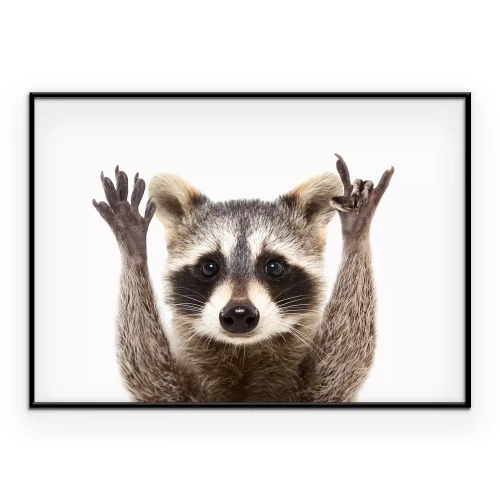 Poster Wasbeer op een witte achtergrond