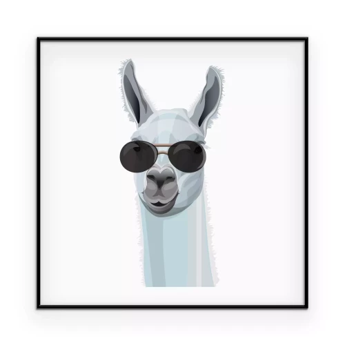 Poster Witte lama met zwarte bril