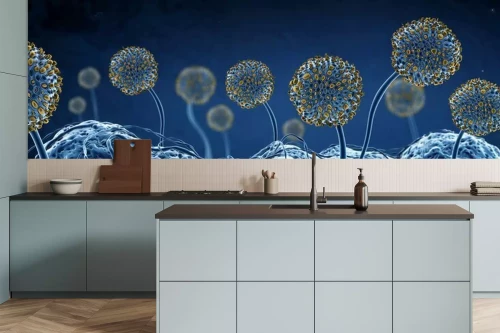 Visualisatie van het product