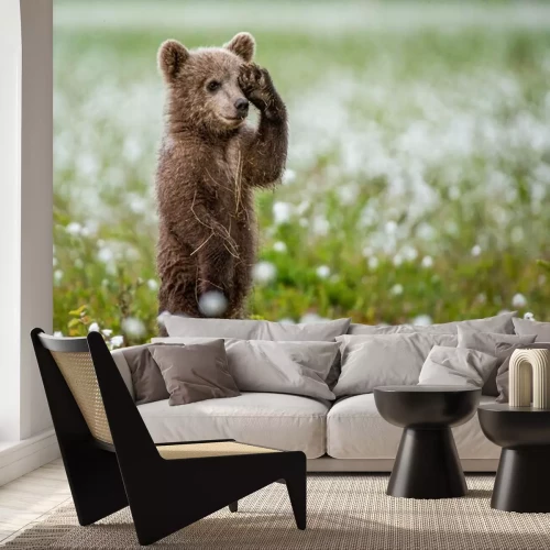 Fotobehang Beer staat op twee benen