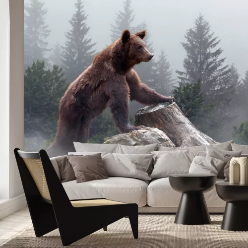 Fotobehang Bruine beer in een mistig bos