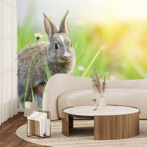 Sticker Konijntje op een groene weide