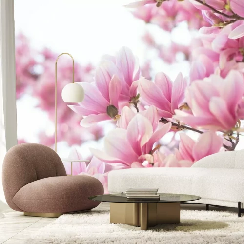 Fotobehang Magnolia&#39;s op de boom