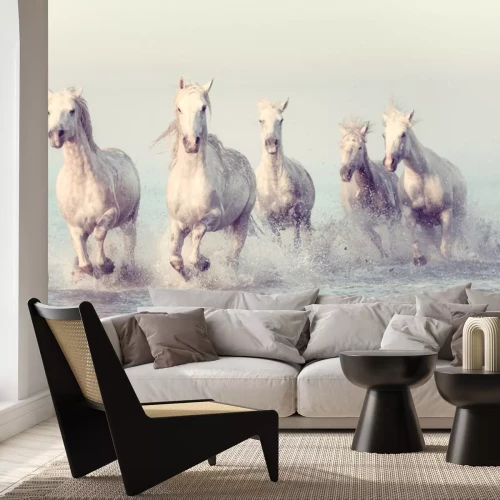 Fotobehang Grijze paarden galopperen in het water