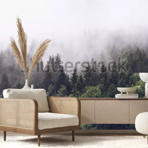 Fotobehang Een bos bedekt met mist