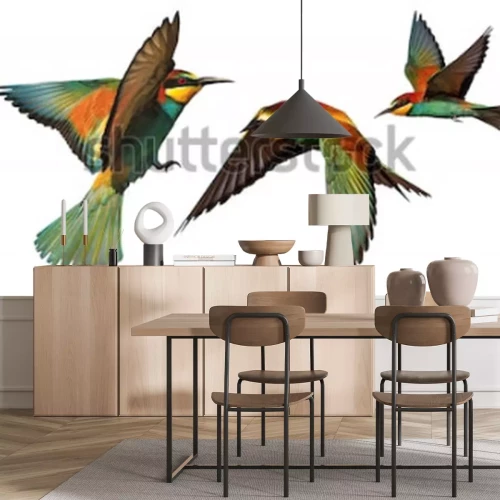 Sticker reeks kleurenvogels die tijdens de vlucht op een witte achtergrond wordt geïsoleerd