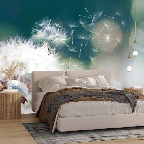 Fotobehang Vliegende paardenbloemzaden