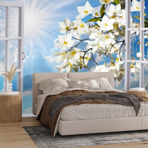 Fotobehang Uitzicht vanuit het raam op een tak met witte bloemen en een zonnige lucht