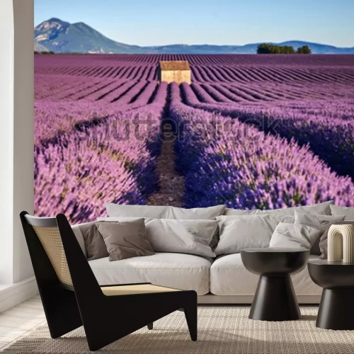 Fotobehang Veld in de Provence