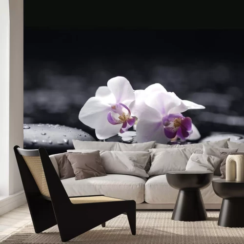 Sticker Twee orchidee met stenen op natte achtergrond