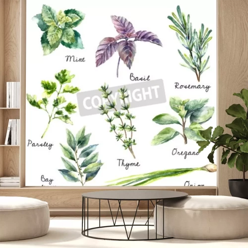 Sticker Bladeren van planten die in de keuken worden gebruikt