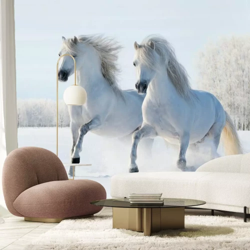 Fotobehang Twee paarden galopperen in de sneeuw