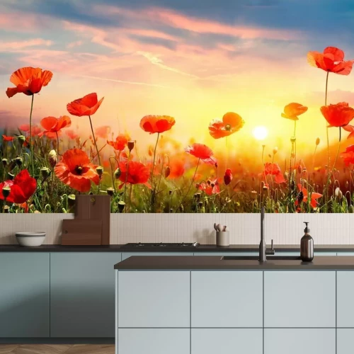 Fotobehang Landschap met klaprozen bij zonsondergang