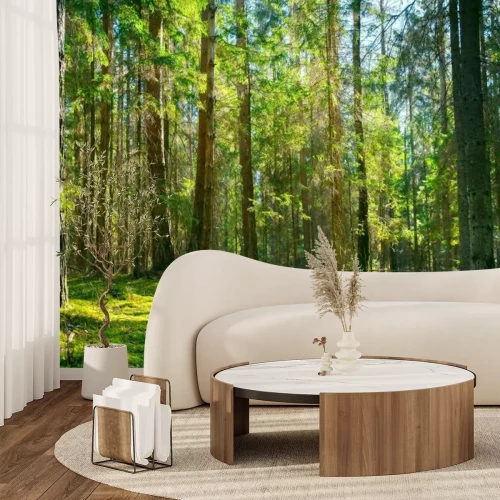 Fotobehang Landschap van een groene open plek in het bos