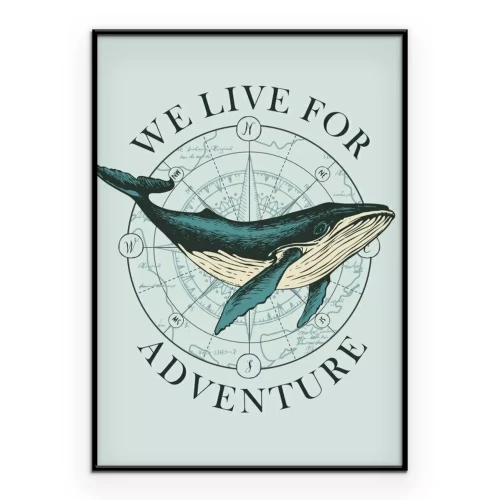 Poster Een walvis tegen de achtergrond van een kompasroos.