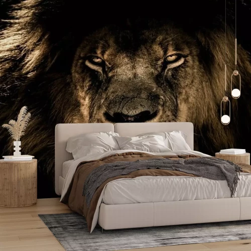 Fotobehang Portret van een leeuw met weelderige manen op zwarte achtergrond