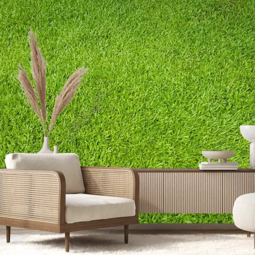 Fotobehang Groen gazon vanuit vogelperspectief