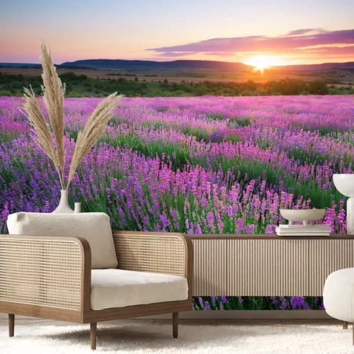 Fotobehang Lavendel veld in een landschap
