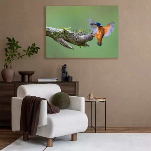 Visualisatie van het product