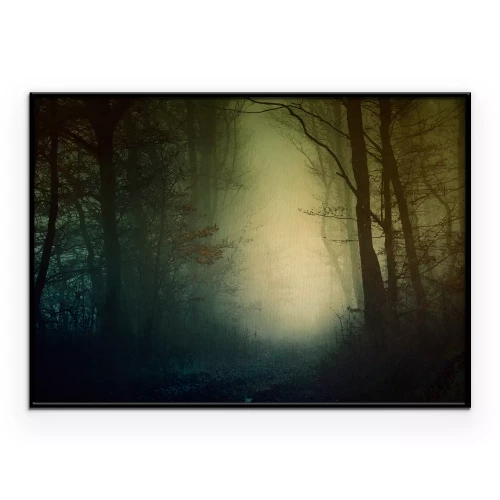 Poster Een donker bos in de schemering met een heldere gloed in het midden.