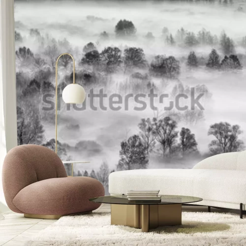Sticker Zwart en wit landschap, het mistige bos, Italië