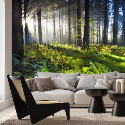 Fotobehang Groene ondergroei