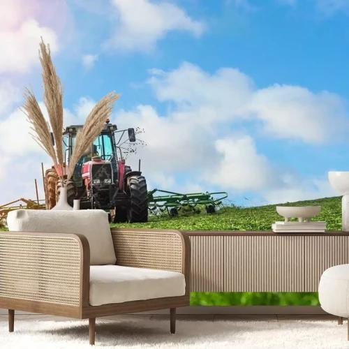 Fotobehang C'est la fenaison au printemps (retouner le foin)