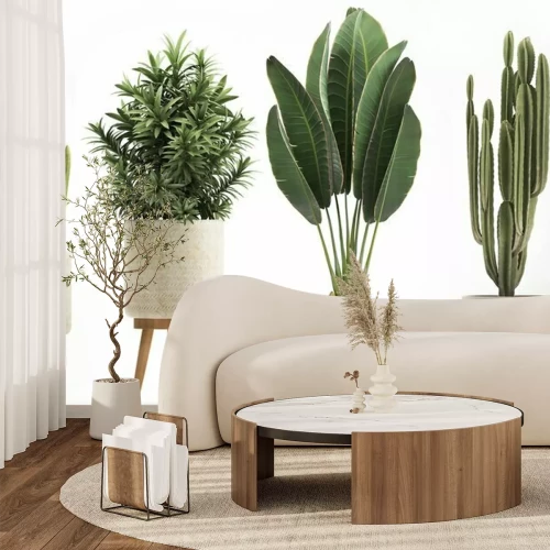 Fotobehang Potplanten op een achtergrond van een muur