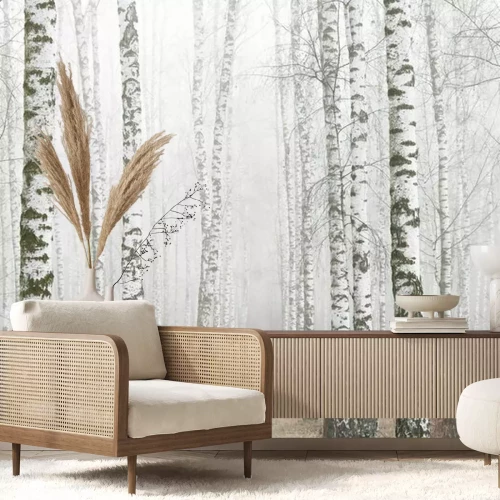 Fotobehang Mistig berkenbos