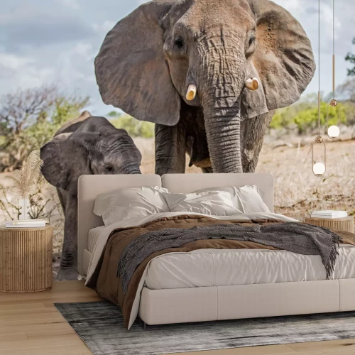 Fotobehang Olifanten in het Kruger National Park