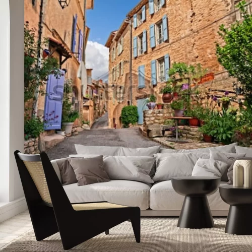 Fotobehang Mane, Forcalquier, Provence, France: picturesque ancient alley in the old town with plants and flowers
