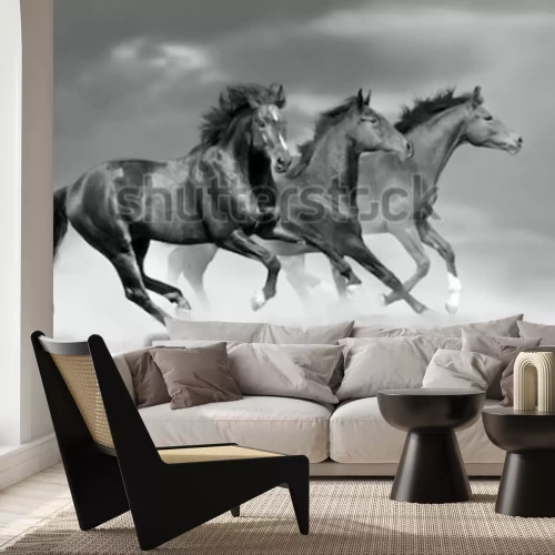 Fotobehang Paarden lopen in het stof