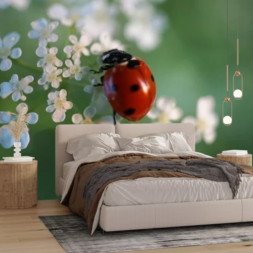 Sticker Beeld van lieveheersbeestje zittend op witte bloemetjes