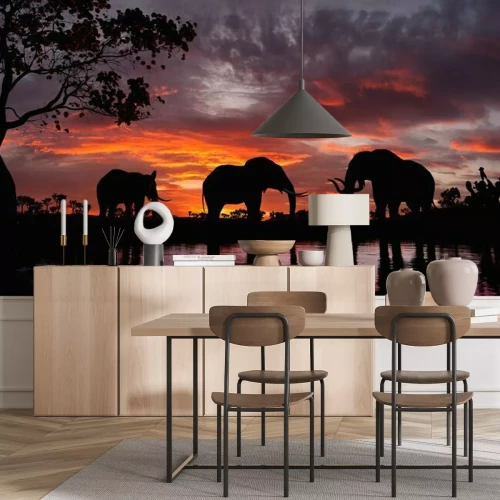 Fotobehang Zwarte beelden van olifanten